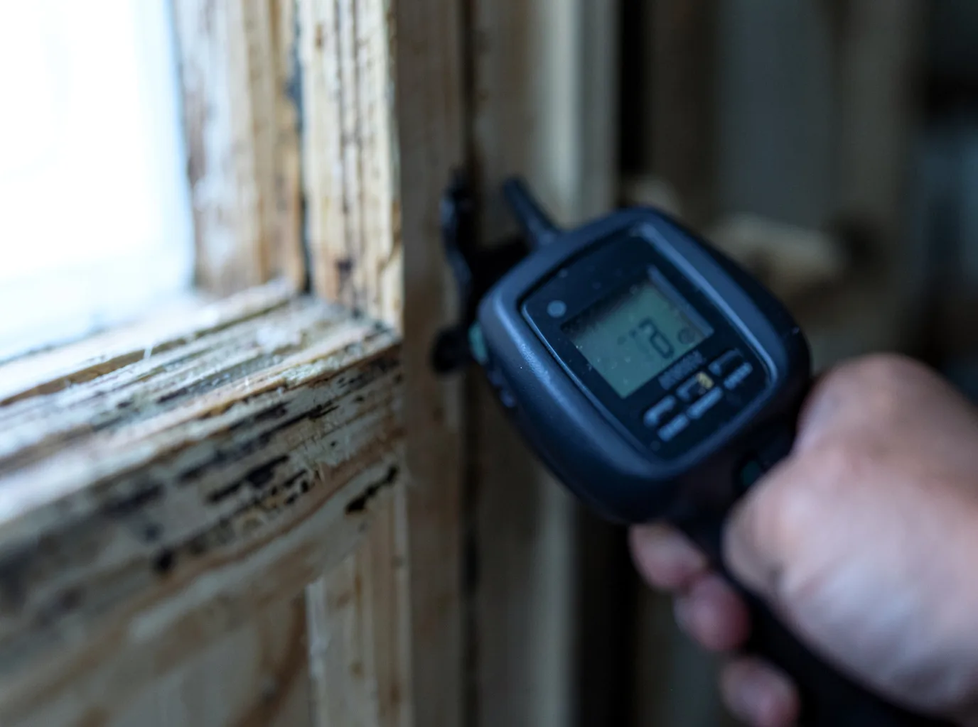 Moisture Inspection And Documentation in Meyersville, TX